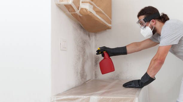 Professional Black Mold Remediation technician working in Hampton, VA
