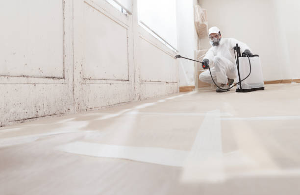 24/7 Emergency Black Mold Remediation experts in Hampton, VA