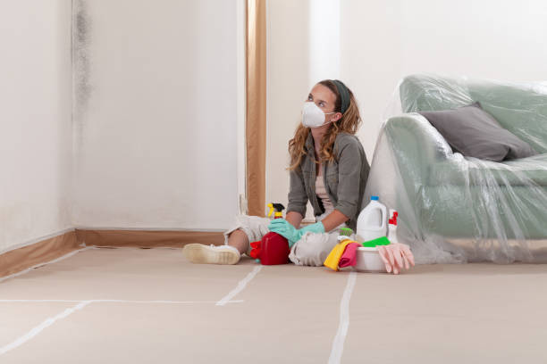 Reliable Black Mold Remediation contractor in Hampton, VA by 24 Hour Mold Removal